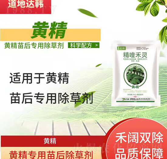 �S�����݄�-�S�����-�S����(zhu��n)��-���n