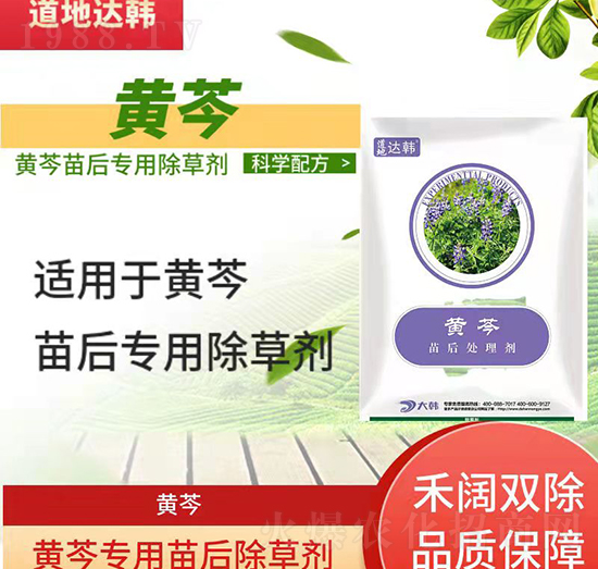 �S�˳��݄�-�S�����-�S�ˌ�(zhu��n)��-���n