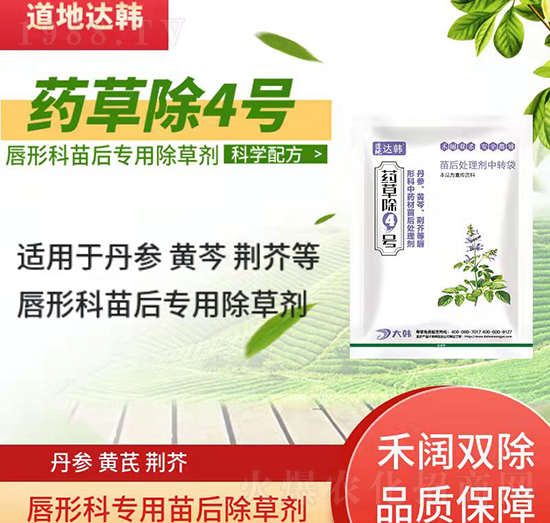 ���οƳ��݄�-���ο����-���οƌ�(zhu��n)��-ˎ�ݳ�4̖(h��o)-���n