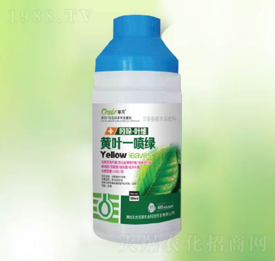 黃葉一噴綠-東方潤(rùn)澤