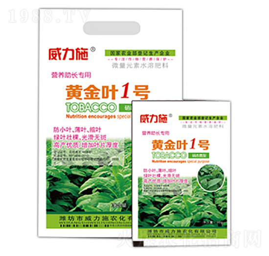 �S���~1̖-����ʩ