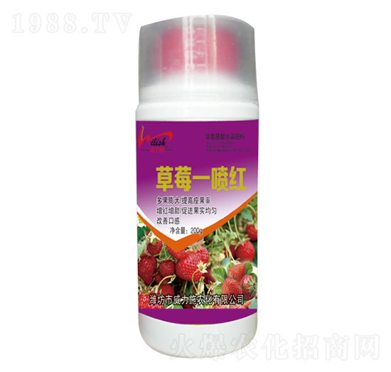 草莓一噴紅-威力施