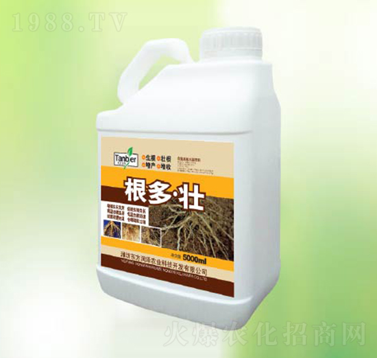 ������-�|����(r��n)��