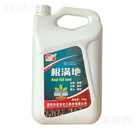 ���M��-���|����