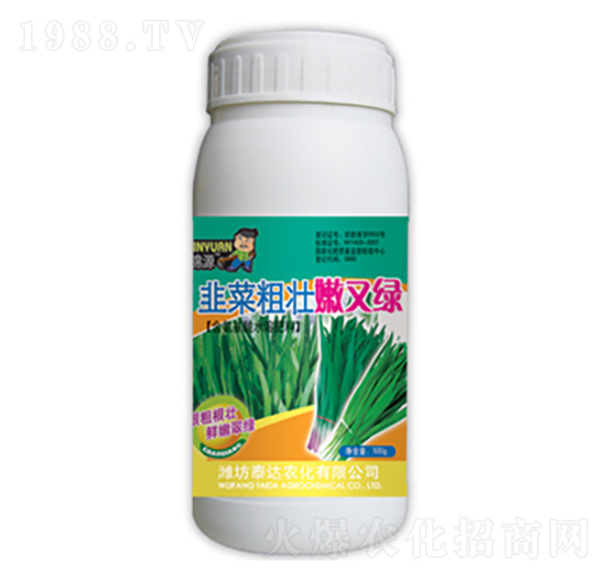 韭菜粗壯嫩又綠-泰達(dá)農(nóng)化