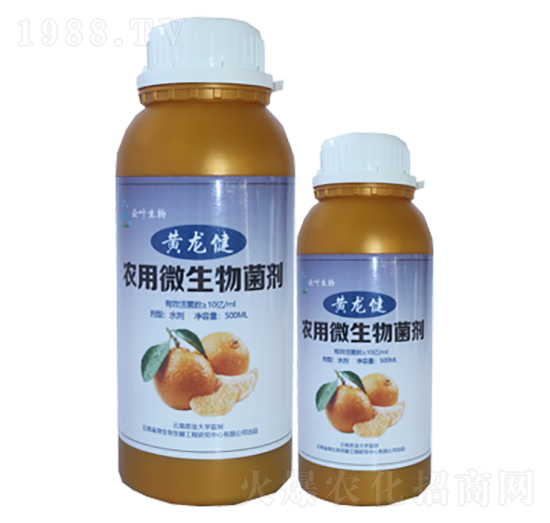 農(nóng)用微生物菌劑-黃龍健-云葉化肥