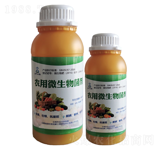 農(nóng)用微生物菌劑-云葉化肥