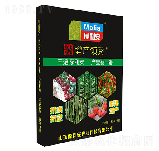 地上茄果增產(chǎn)領(lǐng)秀-摩利安