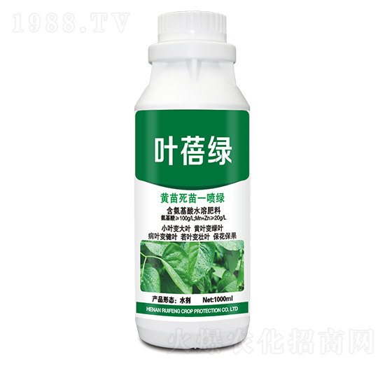黃苗死苗一噴綠-葉蓓綠-銳豐作物