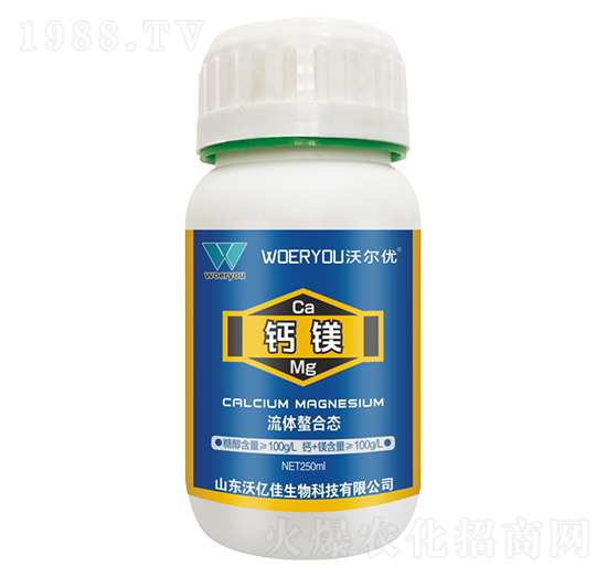 �}�V�~���-�֠���(y��u)