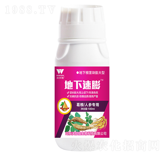 ����˅�����-��������-�֠���(y��u)