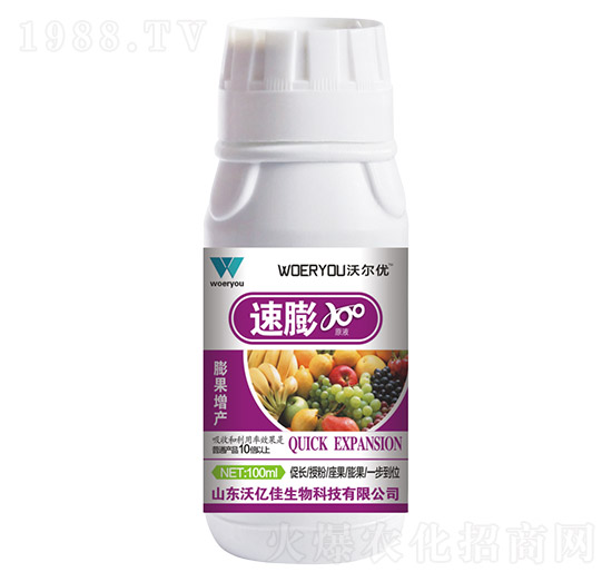 ����-�֠���(y��u)