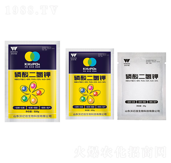 ��������-�֠���(y��u)