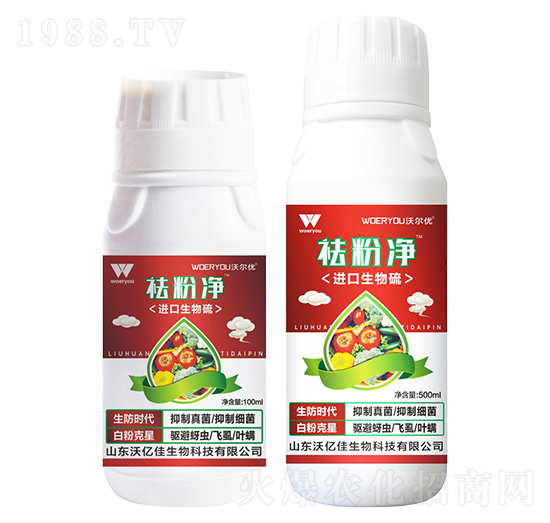 �M��������-��ۃ�-�֠���(y��u)