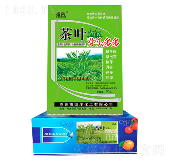 茶葉芽頭多多-綠洋