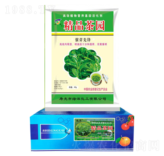 催芽先鋒-精品茶園-綠洋