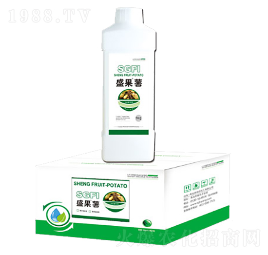 盛果薯（瓶）-綠洋