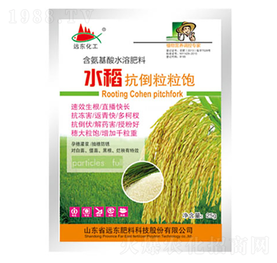 水稻扛倒粒粒飽-遠東肥料