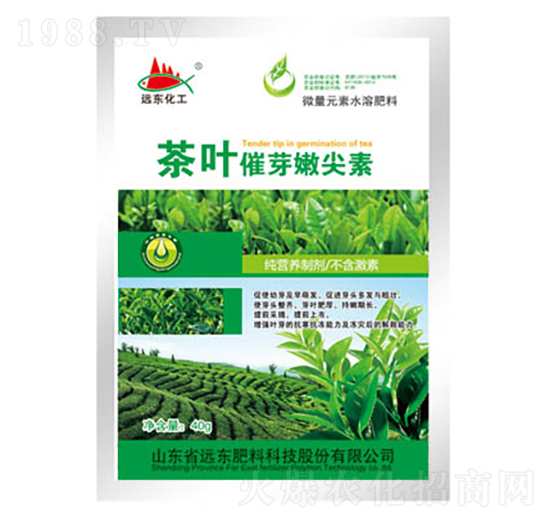 ���~��ѿ�ۼ���-�h�|����