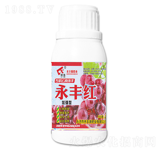 �ӏ������S�t-���SԴ�ʘI(y��)