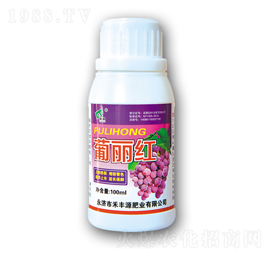 �����t-���SԴ�ʘI(y��)