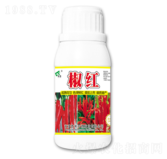 ���t�~���-���SԴ�ʘI(y��)