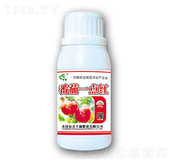 番茄一點(diǎn)紅-禾豐源肥業(yè)
