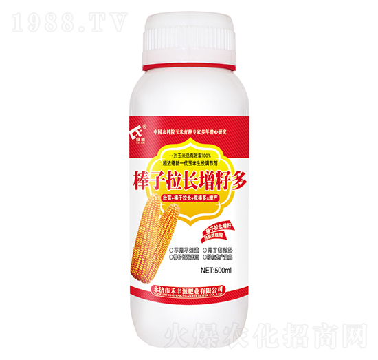 棒子拉長增籽多-禾豐源肥業(yè)