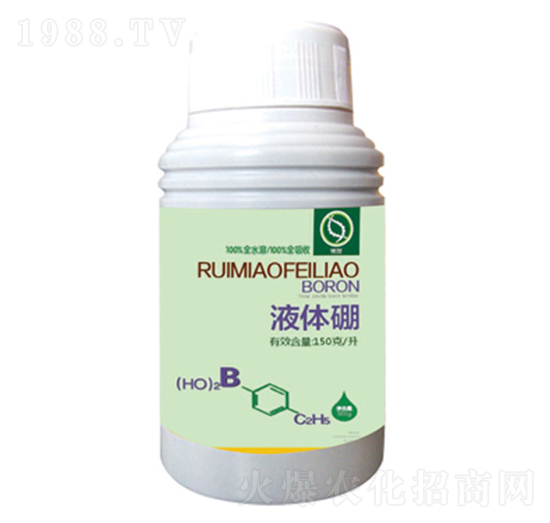 Һ�w��-����