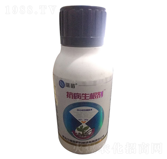 ����������-����