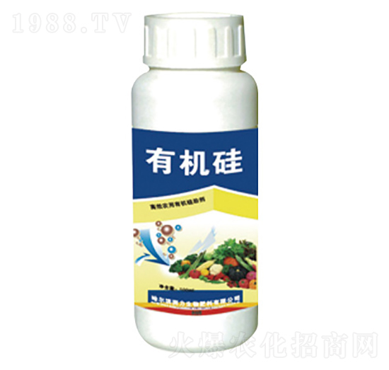 �ЙC��-����