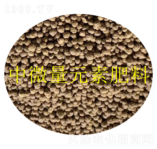 中微量元素肥料顆粒-金潤(rùn)發(fā)生物