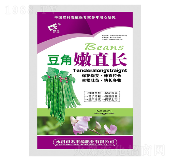 豆角嫩直長(zhǎng)-禾豐源肥業(yè)