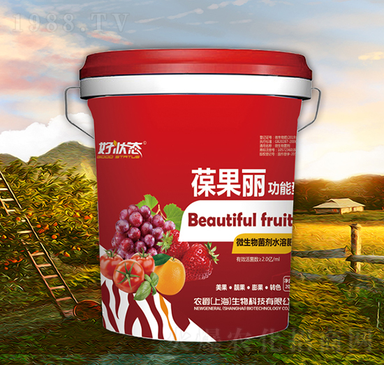 葆果麗-好狀態(tài)-農(nóng)爵