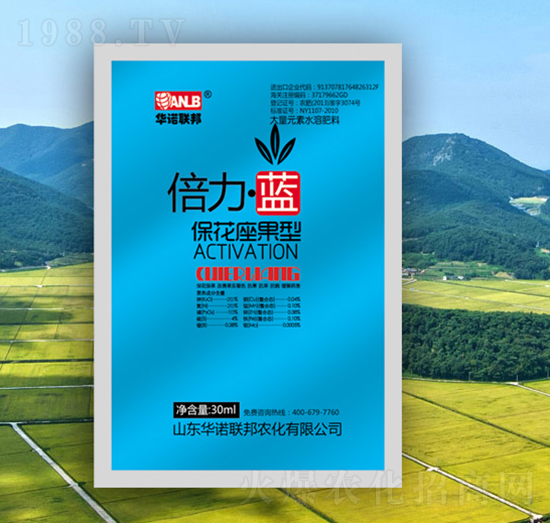 倍力·藍(lán)（保花座果型）-華諾聯(lián)邦