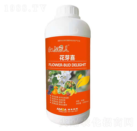 花芽喜-紅顏果美-阿姆達