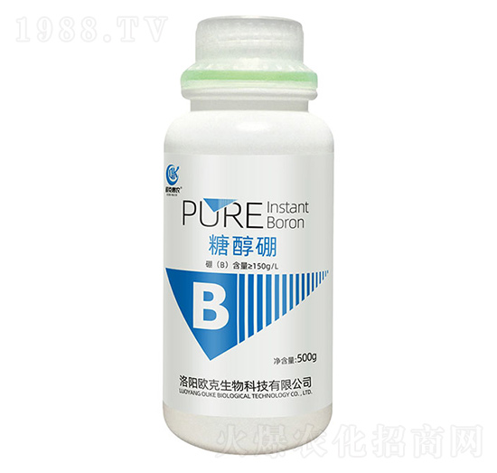 �Ǵ���-�W�˻��r(n��ng)-�W������