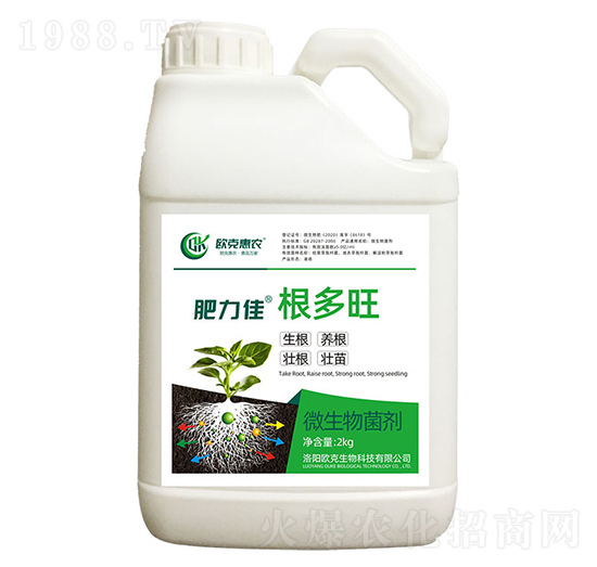 2kg�����Ѹ�����-�W�˻��r-�W������