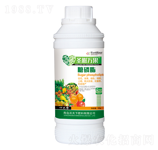 ����֬-ʥ���f��-������