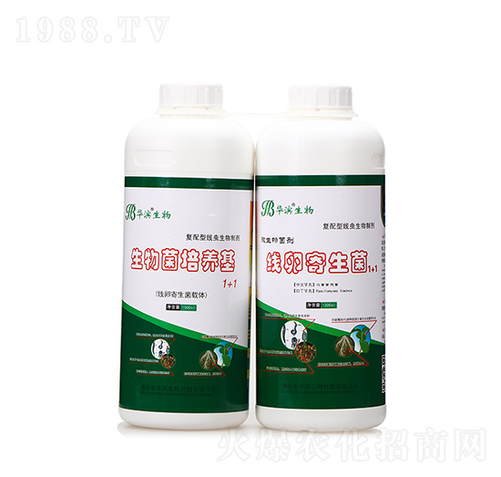 生物菌培養(yǎng)基+線卵寄生菌-華濱