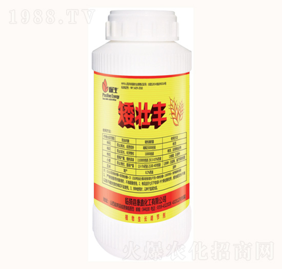 矮樁豐-康鑫化工