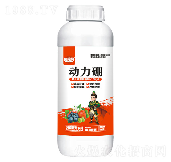 ������-��ڌ�-�{(l��n)���r(n��ng)��