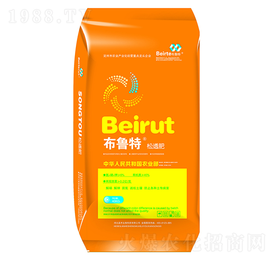 ��͸��-������-�{(l��n)������