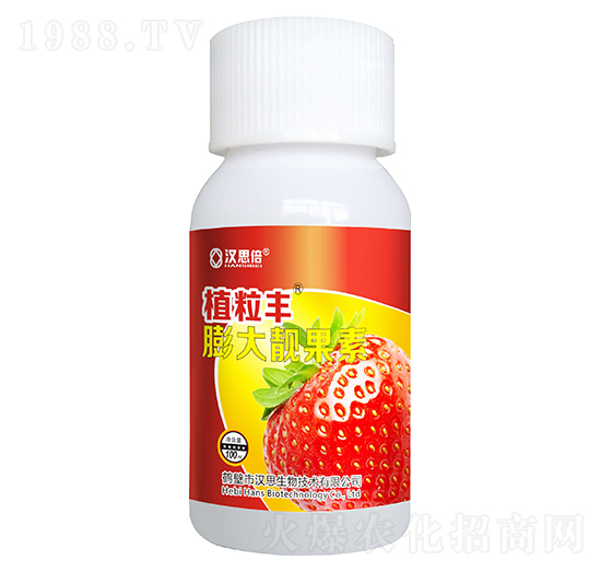 ����n����-ֲ���S-�h˼����