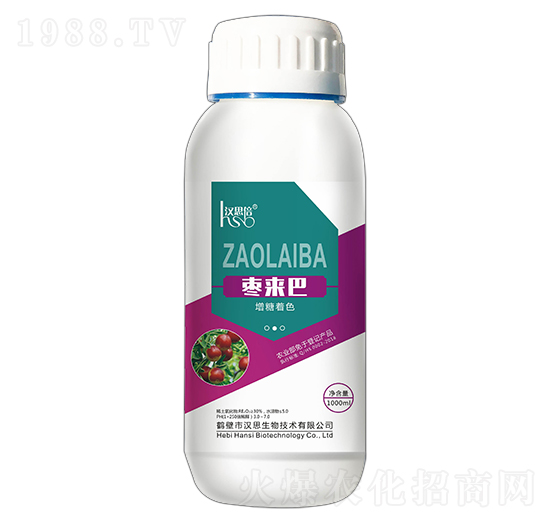 增糖著色-棗來(lái)巴-漢思生物