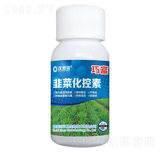 �²˻�����-�ɸ�-�h˼����