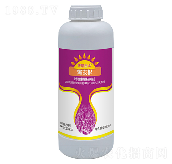 1000ml爆發(fā)根-天河金水-天宸夢(mèng)