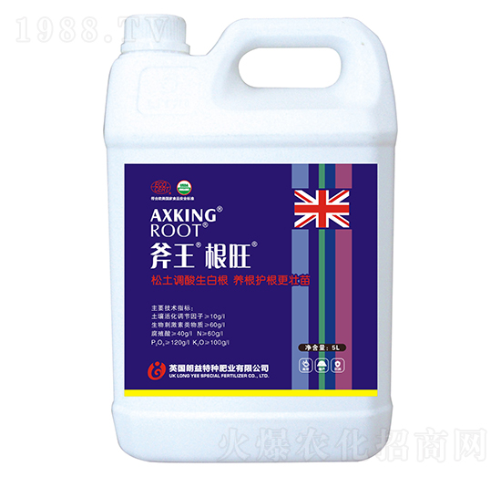 斧王根旺-天宸夢