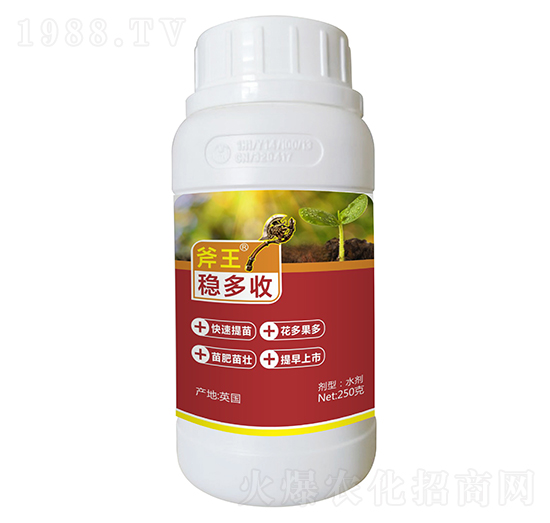 250g穩(wěn)多收-斧王-天宸夢