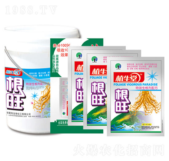 ���� �R������